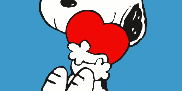 1600x1600 Snoopy wallpapers, Artistic, HQ Snoopy pictures | 4K Wallpapers 2019