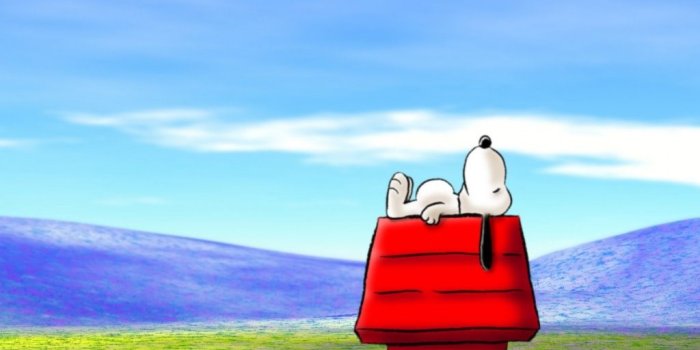 1024x768 Snoopy Backgrounds Wallpapers Desktop Background