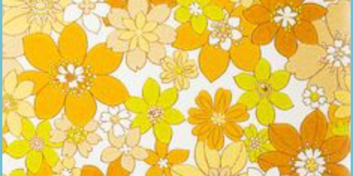 1047x881 9s Floral Wallpapers - Top Free 9s Floral Backgrounds - 70s Flower Wallpaper  | Neat