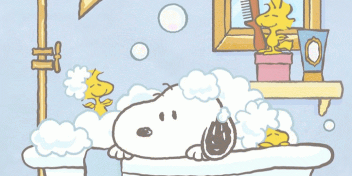 720x1280 Snoopy Wallpapers - 4k, HD Snoopy Backgrounds on WallpaperBat
