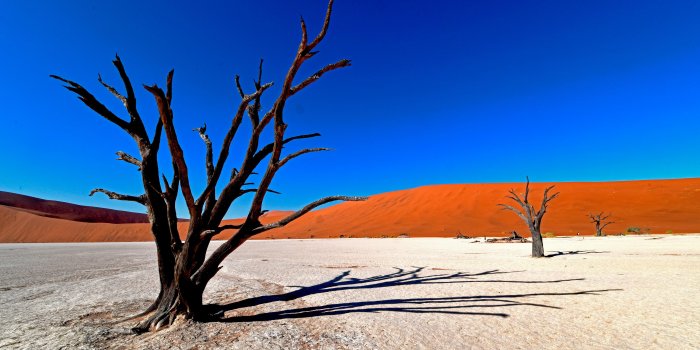 4681x2633 Desert Scape 4K wallpaper