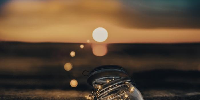 1000x1250 500+ Magical Pictures [HD] | Download Free Images on Unsplash