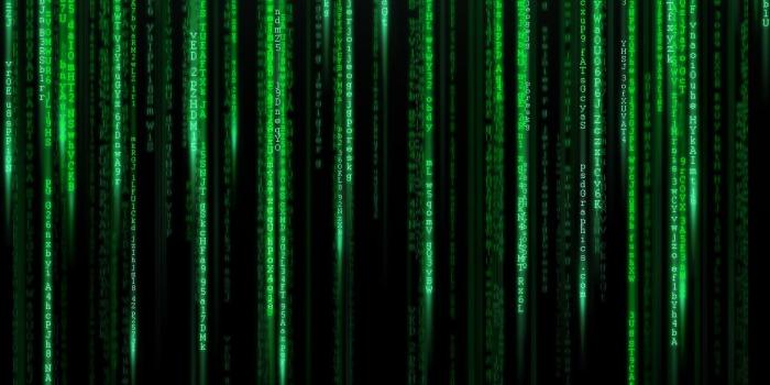 1920x1080 13 Matrix Wallpapers - Wallpaperboat