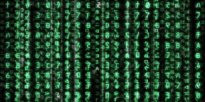 1125x2436 Iphone X Data Src Vertical Matrix Backgrounds For - Matrix Wallpaper Iphone  X - 1125x2436 Wallpaper - teahub.io