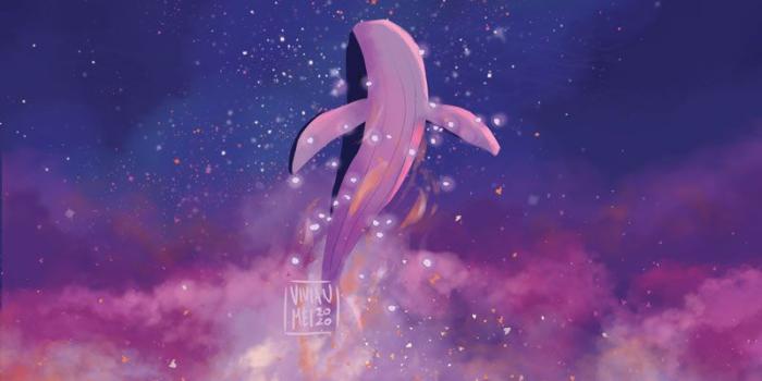 800x1035 Hi ARMY, I want a desktop wallpaper of BTS but it should be like hidden  meaning (BTS wallpaper but normal people can't see it only ARMY can say  that is BTS wallpaper)