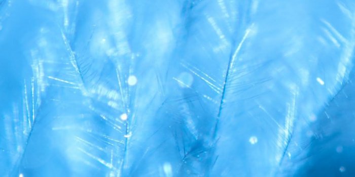 1080x1920 ice | iPhone Wallpapers