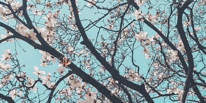 736x1308 Preppy Wallpapers - Top Free Preppy Backgrounds - WallpaperAccess