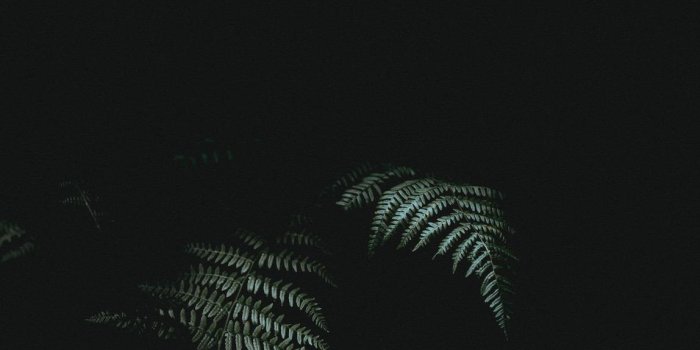 1148x1725 50 Aesthetic Dark Wallpapers For iPhone (Free HD Download!)