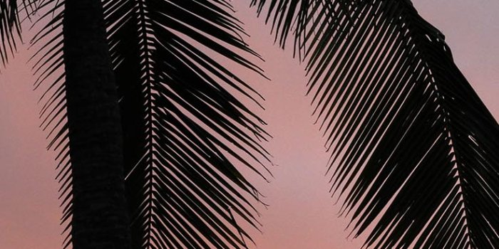 736x1308 13 Super Fun Summer iPhone 8 Plus Wallpapers | Preppy Wallpapers