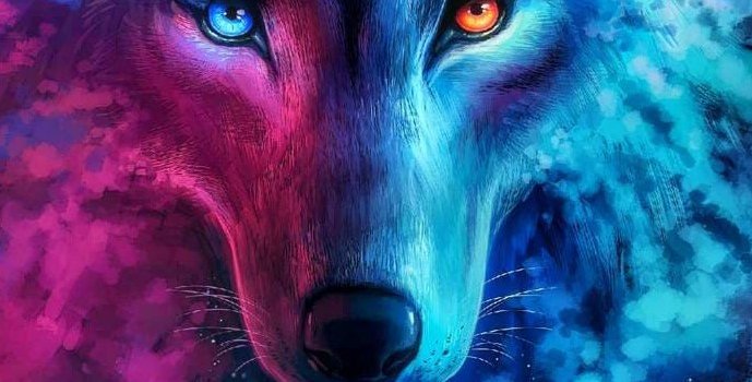 689x1280 Wolf Wallpapers - Top 75 Best Wolf Backgrounds Download