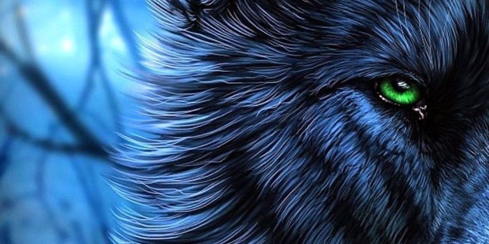 1056x1879 Wolf Wallpapers For iPhone 7 Plus - Wolf-Wallpapers.Pro | Eyes wallpaper,  Wolf with blue eyes, Wolf wallpaper