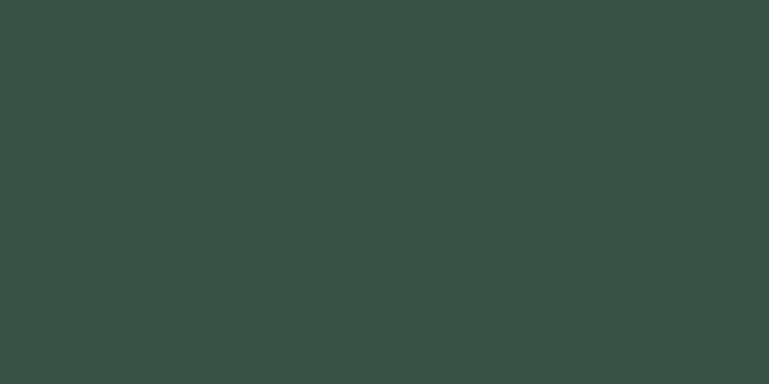 1024x1024 Elegant Leaves Dark Green Wallpaper | Green Wallpaper | Superfresco Easy