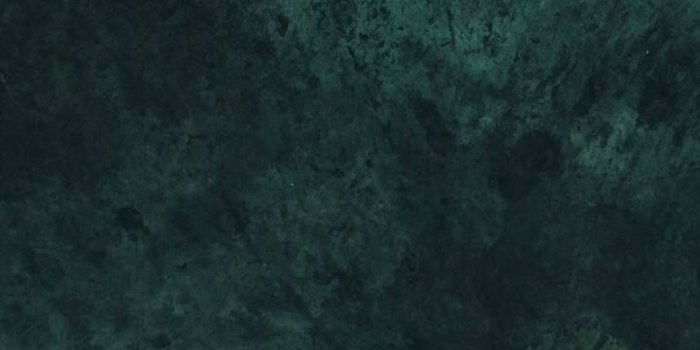 720x1280 Dark Green Printed Old Master White Little Green Texture Backdrop | Dark  green wallpaper, Dark green aesthetic, Green wallpaper