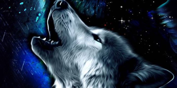 720x1280 Wolf Wallpaper - EnWallpaper