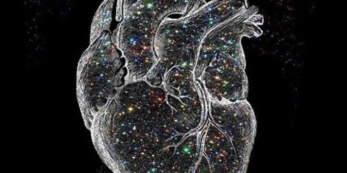 720x1280 Black | Theme | Wallpapers | iPhone | Android +100 Iphone | Iphone art, Medical  wallpaper, Anatomy art