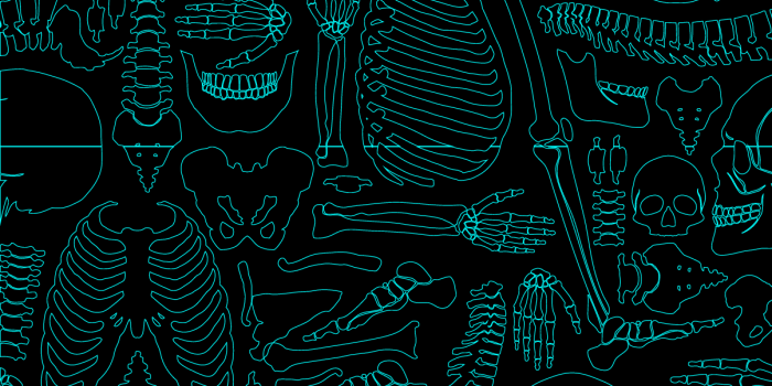 1205x2609 Amoled wallpaper skeleton