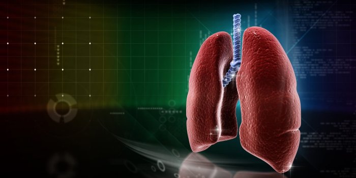 1920x1080 Medicine Wallpapers For Desktop, Laptop, PC & Mobile Desktop Background