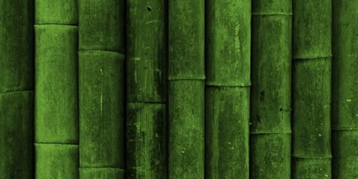 1080x1920 iPhone Wallpaper Dark Green - 2021 3D iPhone Wallpaper