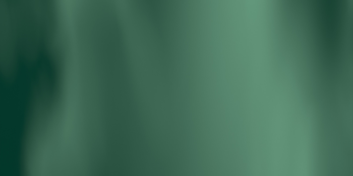 1242x2688 iOS Home App - Dark Green - Wallpapers Central