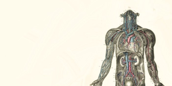 1680x1050 medical wallpaper (#170895) | Medical wallpaper, Medical  illustration, Medical