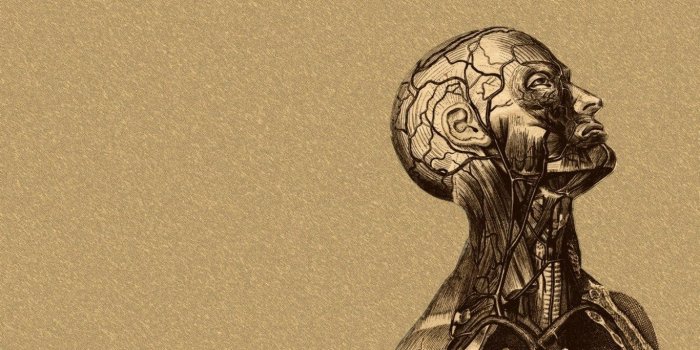 1366x768 Medical Desktop Wallpaper posted by Samantha Thompson