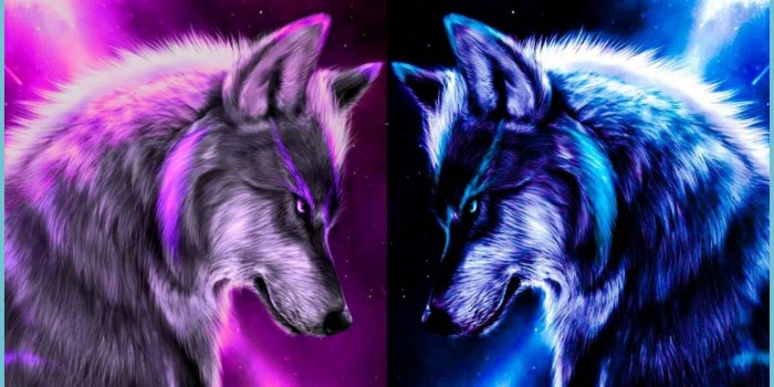 1241x1241 Cute Wolves Wallpapers - Cute Wolf Wallpaper | Neat