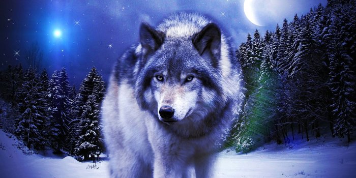 3342x1878 Picture Of Wolves Wallpapers - Wolf-Wallpapers.pro