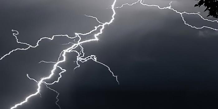 1170x2532 lightning strikes on trees 4k iPhone 12 Wallpapers Free Download