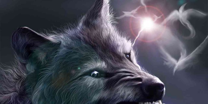 1280x1060 Wolf Wallpapers Free Download Group (77+)