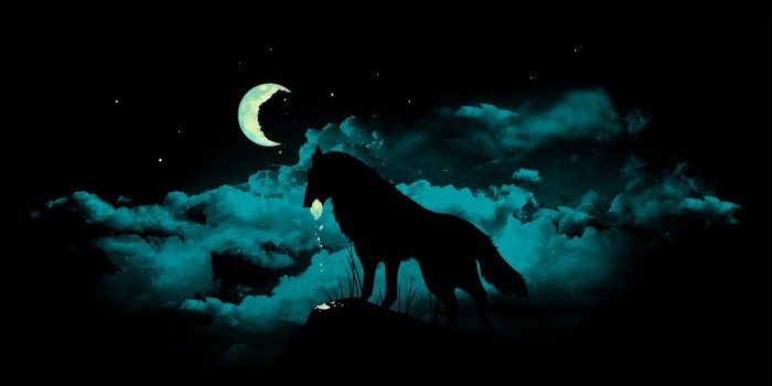 1920x1080 70+ Wolf Wallpaper for iPhone