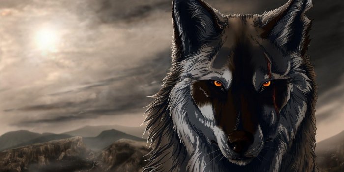 2560x1600 Black Anime Wolf Wallpapers - 4k, HD Black Anime Wolf Backgrounds on  WallpaperBat