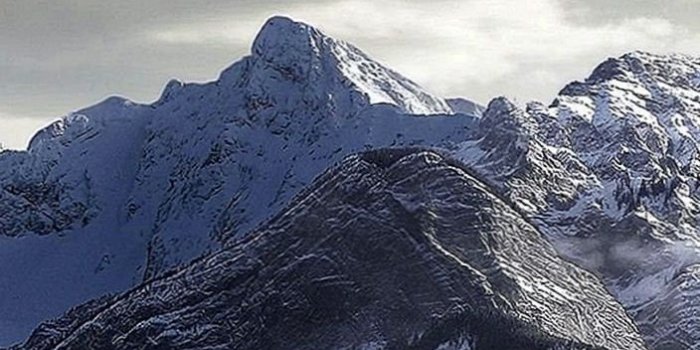 704x1252 Wolves iPhone X Wallpapers | Wolf wallpaper, Iphone wallpaper winter, Wolf  pictures