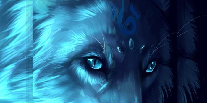 1496x2808 Wolf wallpapers : Wolves Wallpapers for Android - APK Download