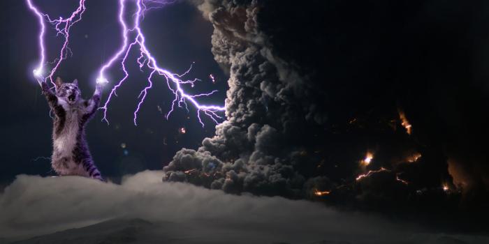 1500x938 Cat Playing With Lightning Wallpaper | 1500x938 | ID:51346 -  WallpaperVortex.com