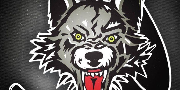 960x960 Free Desktop Wallpapers & Downloads - Chicago Wolves