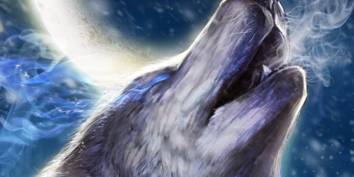1620x2880 32+] Wolves Howling Wallpapers on WallpaperSafari