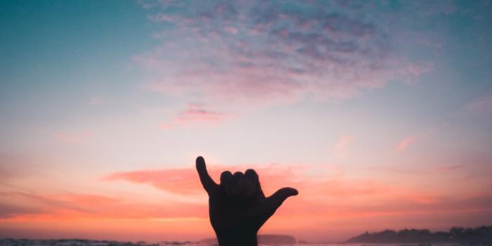 1000x1500 Top surf wallpaper for walls HD Download - Wallpapers Book - Your #1 Source  for free download HD, 4K & high quality wallpapers