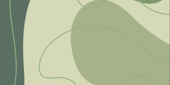 784x1200 Background in 2021 | Sage green wallpaper, Iphone wallpaper green, Green  wallpaper