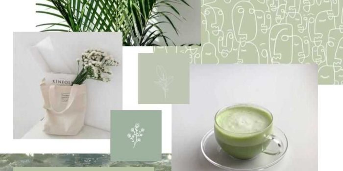 864x1536 Sage Green Aesthetic Wallpaper - EnJpg