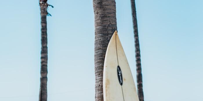 1000x1500 Hawaii Surf Beach Pictures | Download Free Images on Unsplash