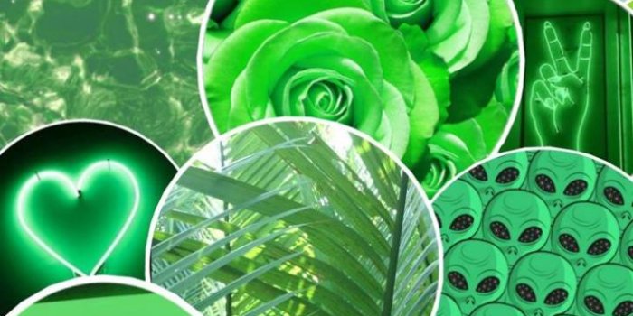 728x1294 Wallpaper HD: Green, Aesthetic, Wallpapers, Wallpaper | fashionsista.co