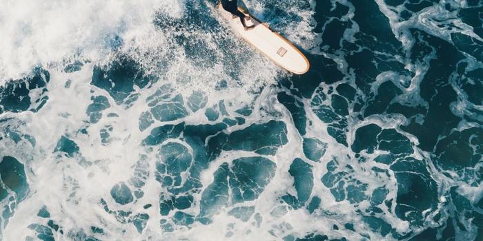 1125x2436 person surfing on sea waves during daytime iPhone X Wallpapers Free Download