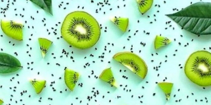 720x1280 Green Aesthetic Wallpaper Backgrounds For iPhone -