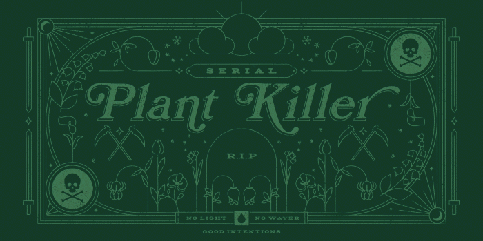 2560x1440 Aesthetic Green Wallpaper Desktop - Largest Wallpaper Portal