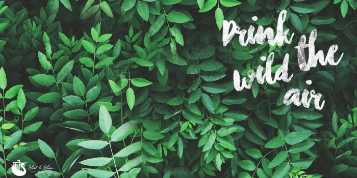 1920x1080 Green Aesthetic Backgrounds - 2021 Wallpaper Aesthetic