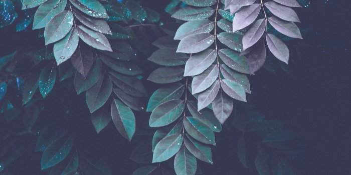 1920x1080 27 Green Aesthetic Wallpapers - Wallpaperboat