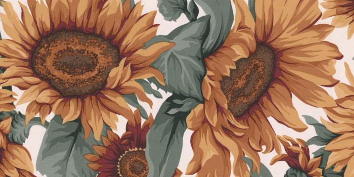 2669x2061 Sunflower Laptop Wallpaper Aesthetic - 2669x2061 Wallpaper - teahub.io