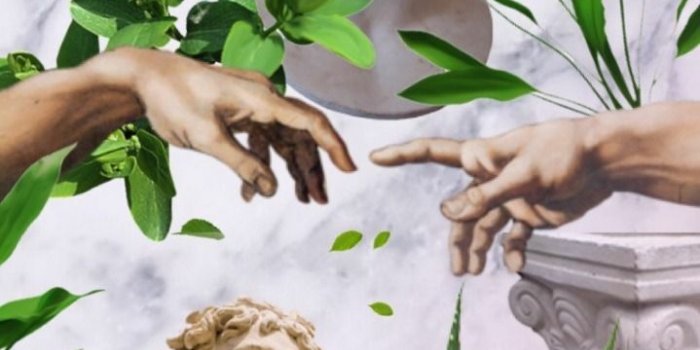 719x1280 7 Green and white aesthetics - desktop wallpaper #13278 [DOWNLOAD FREE]