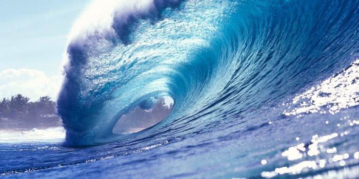 1600x1000 49+] Surfing Screensavers and Wallpaper on WallpaperSafari