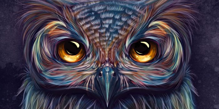 5400x3038 Art Owl Wallpapers - Top Free Art Owl Backgrounds - WallpaperAccess